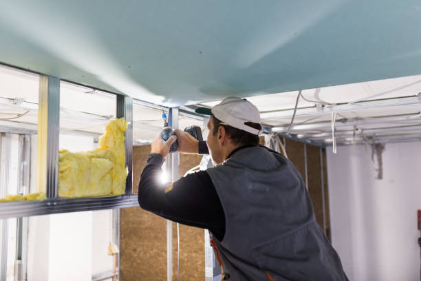 Best Specialized Insulation Services in Lindsay, OK
