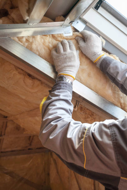 Professional Insulation Contractor in Lindsay, OK