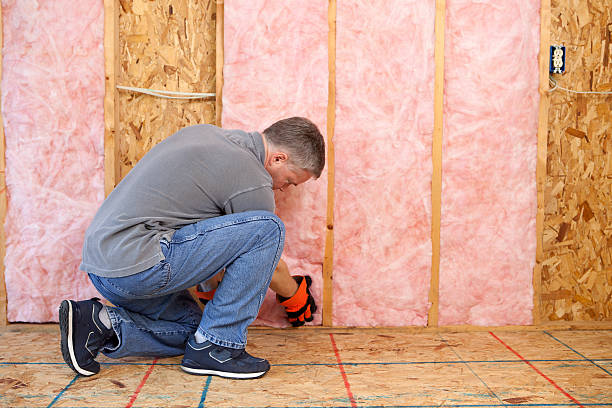Best Eco-Friendly Insulation in Lindsay, OK