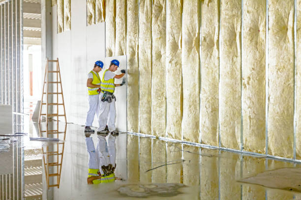Best DIY Insulation Kits and Guidance in Lindsay, OK